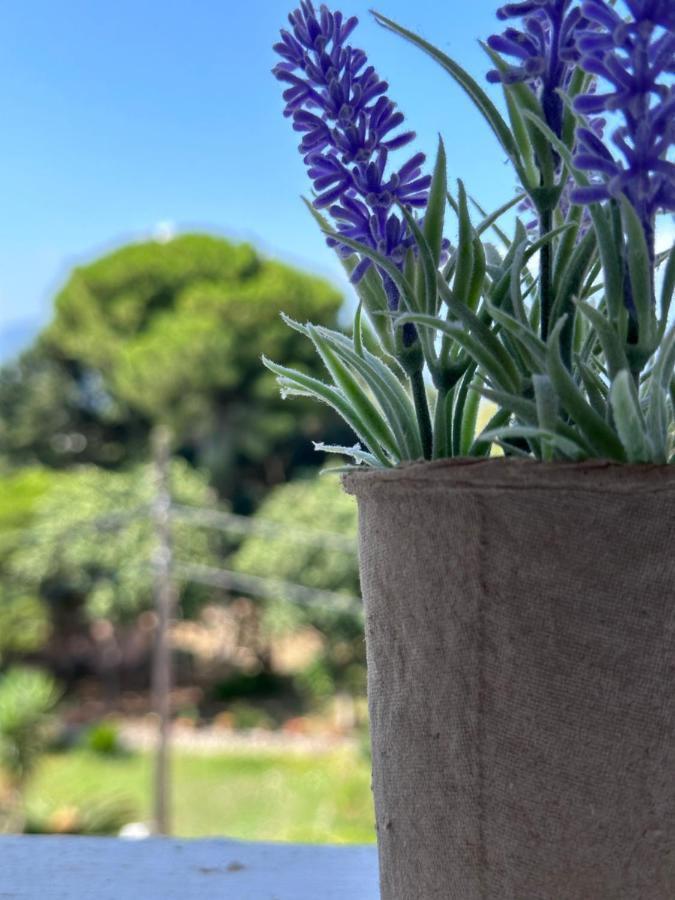 Olia Apartment Corfu  Экстерьер фото
