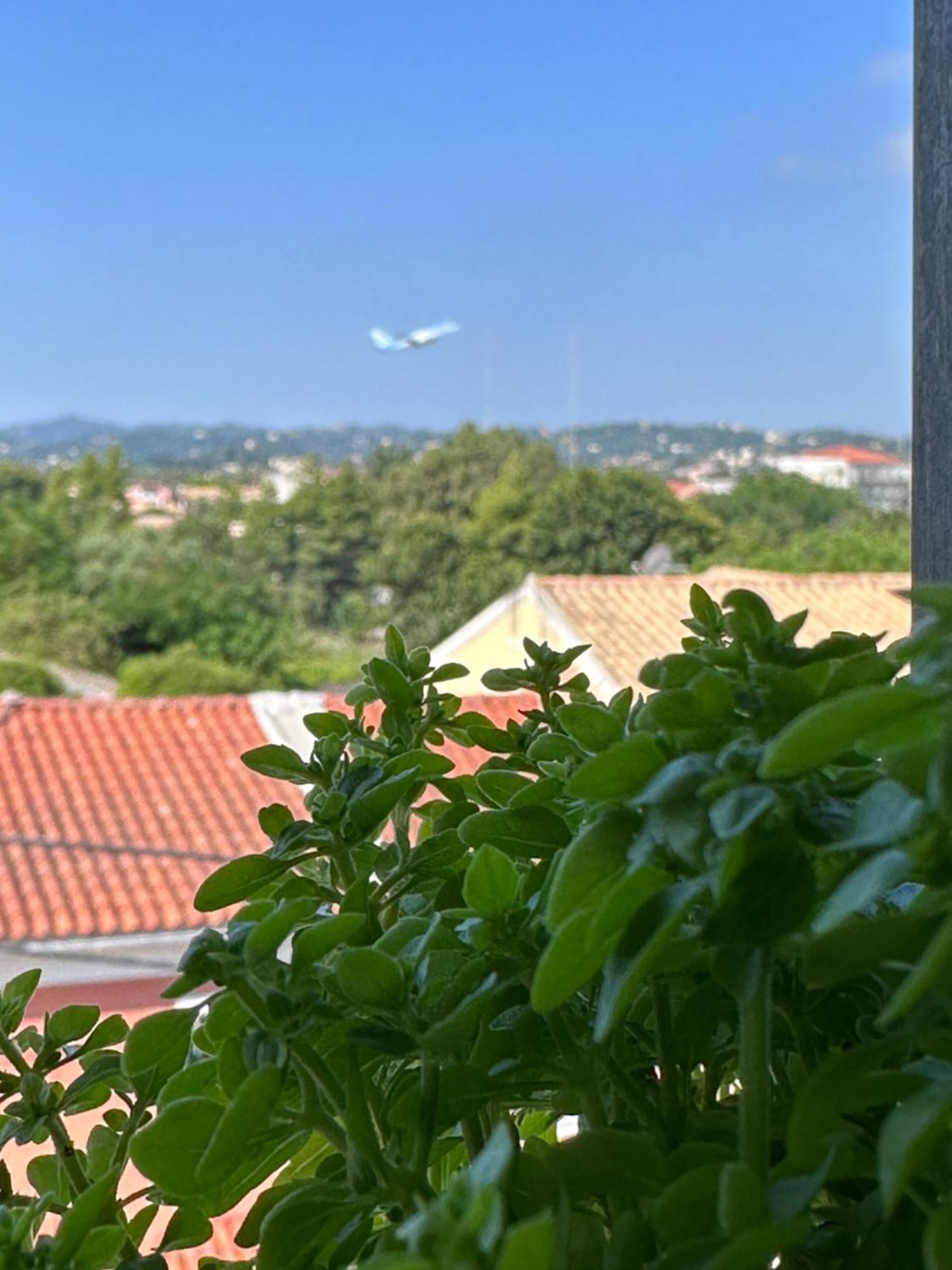 Olia Apartment Corfu  Экстерьер фото